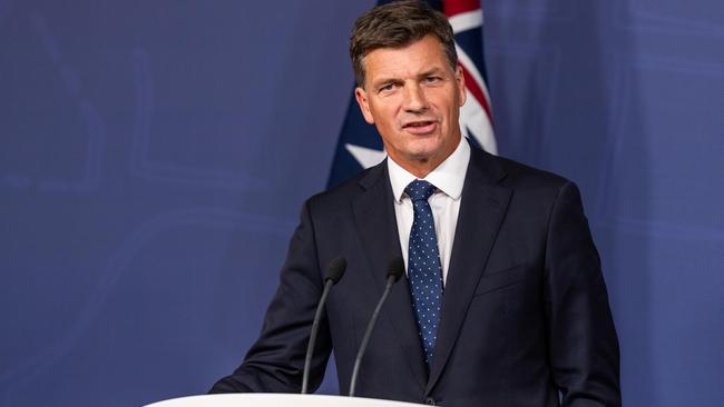 Angus Taylor is also open to stepping back depending on the role Sussan Ley offers him. Picture: NewsWire / Monique Harmer