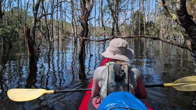 Nelly Brett paddling on Lake Burbury. Nelly Brett completed all 158 Tasmanian Abel mountains at age 17 years 11 months and 4 days old over an almost 10 year period. Picture: Gavin Brett