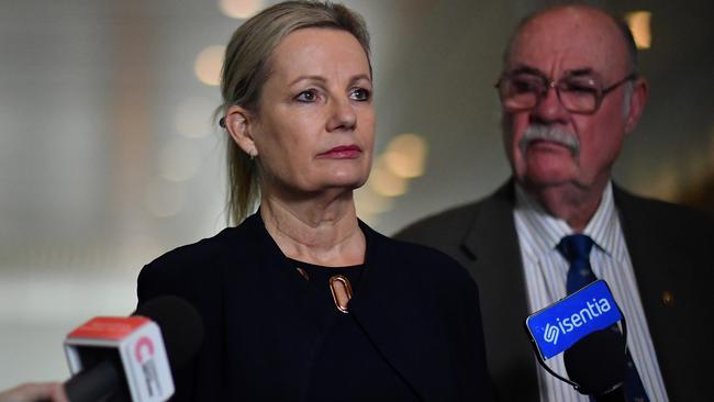 Environment Minister Sussan Ley. Picture: Getty Images