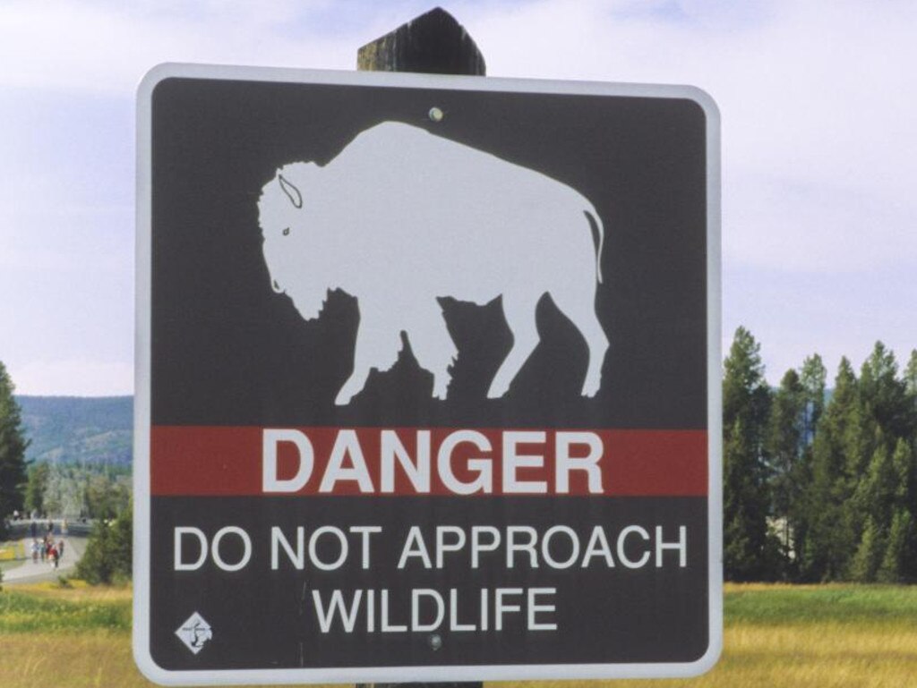 Signs at the park warn visitors not to approach the animals