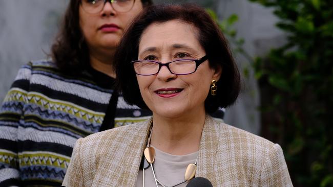 Victorian Energy Minister Lily D'Ambrosio during a gas press conference in Melbourne. Picture: Luis Enrique Ascu/NCA NewsWire