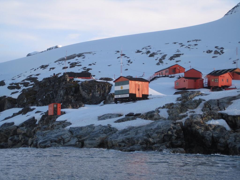 The dead skua seabirds were found by Argentine scientists near the Primavera base in Antarctica, pictured above. Picture: Louise Evans/Aurora Expeditions