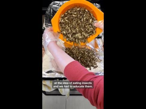 “I’m hooked”: Why this woman loves eating insects