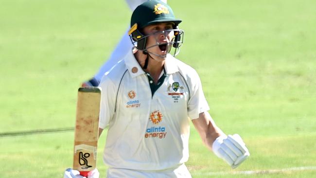 Marnus Labuschagne celebrates a century during the fourth Test against India.