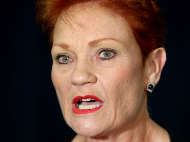 07/05/2019: Senator Pauline Hanson holds a doorstop interview on the first day of the new NSW Parliament. Hollie Adams/The Australian