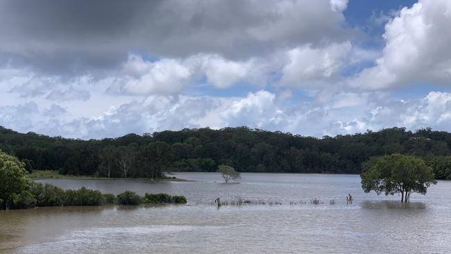 This is the site of a planned sewage treatment plant which will not be part of a Redland council flood mapping investigation despite the proposed site being flooded in the area’s worst floods on record. But 145 Logan properties will be reassessed with data added in to Logan's next Planning Scheme. PHOTO: JUDITH KERR