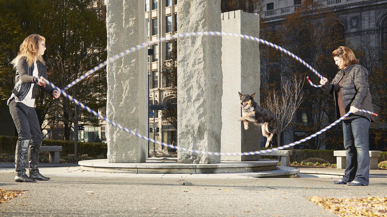 Geronimo, who did the most double dutch skips by a dog in one minute. Picture: Guinness World Records