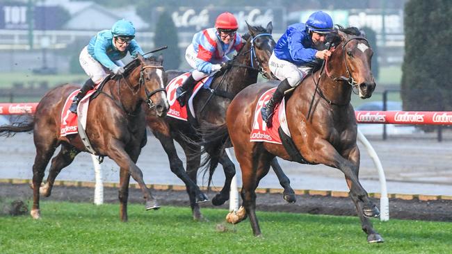 Pereille, ridden by Damian Lane, was in a class of his own last Saturday at The Valley. Picture: Brett Holburt–Racing Photos