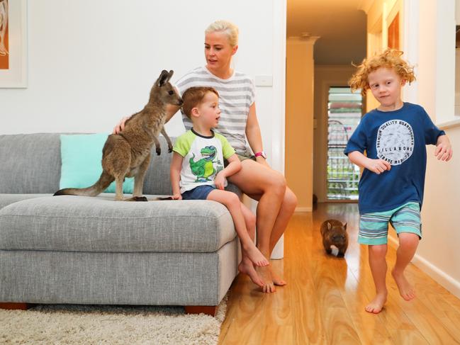 01/02//17 Tim Faulkner with wife Liz and sons Matt and Billy look after native animals in their home - Skip the Kangaroo and George the Wombat.Picture shows Matt, Liz and Billy. Picture Renee Nowytarger / The Australian