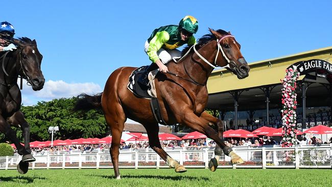 Yellow Brick won’t be seen on the final day of the Queensland winter carnival. Picture: Grant Peters / Trackside Photography.