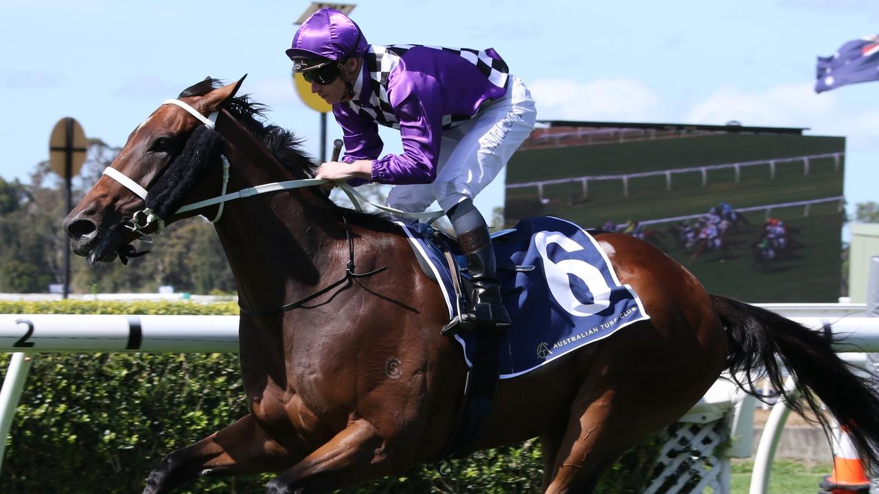 Horse racing tips: Best bets for Warwick Farm with Mitch Cohen | Daily ...