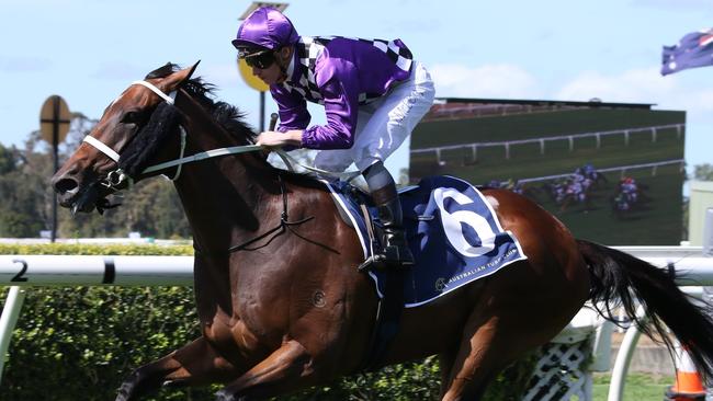 The Chris Waller-trained Villaden can make it back-to-back wins at Warwick Farm on Wednesday. Picture: Grant Guy