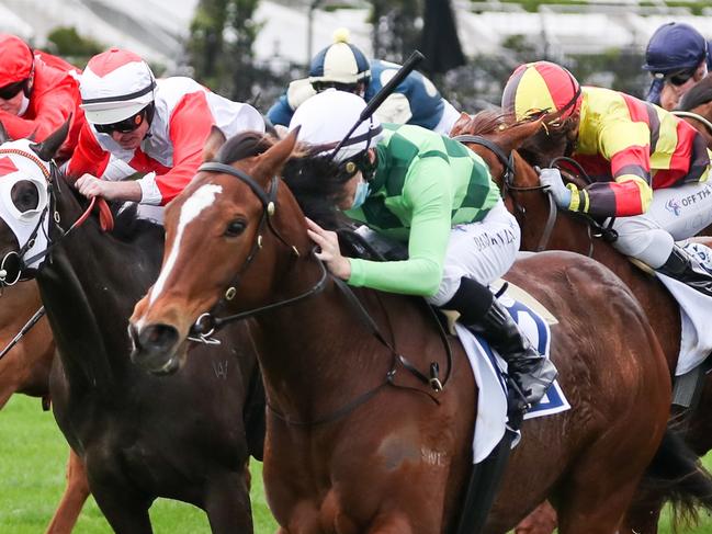 Turaath (GB) ridden by Damian Lane wins the Furphy Let's Elope Stakes at Flemington Racecourse on September 11, 2021 in Flemington, Australia. (George Salpigtidis/Racing Photos via Getty Images)