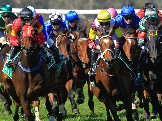 Loving home ridden by Tye Angland  (yellow cap, maroon with yellow armbands) wins race 1 during Scone  Races located in the Upper Hunter Region of NSW. The Bend . Pic Jenny Evans