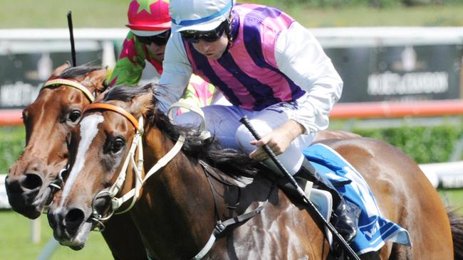 Twist Tops scored a tenacious win in the Inglis Classic. Picture: Simon Bullard