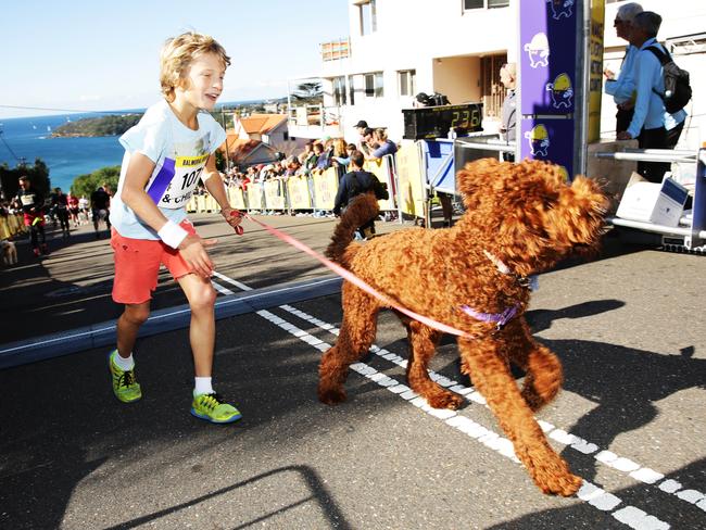 The Pet and Owner event is one of the most popular Balmoral Burn races. Picture: Braden Fastier