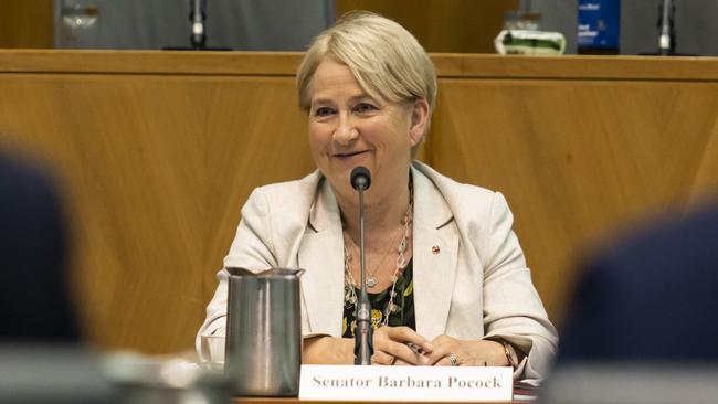 Greens Senator Barbara Pocock pushed for an inquiry into the use of consultants. Picture: Martin Ollman