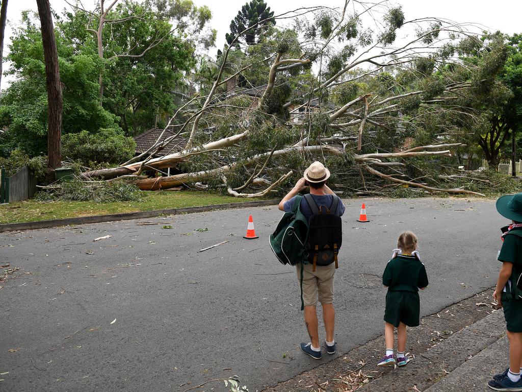 Storm damage is seen in Gordon, north of Sydney, Tuesday, November 26, 2019. A severe fast moving thunderstorm has passed over Sydney resulting in fallen trees and downed power lines in several Sydney suburbs. (AAP Image/Dan Himbrechts)