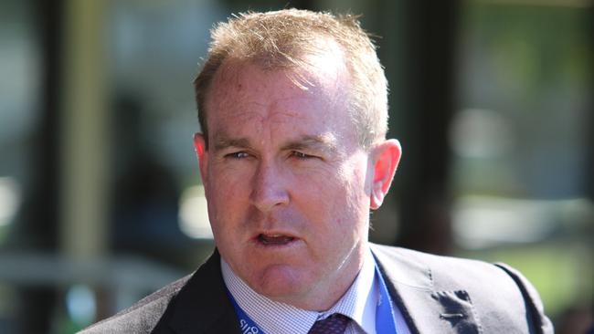 Trainer John O'Shea prepares the promising Pizarro who can break his maiden at Warwick Farm on Wednesday. Picture: Grant Guy