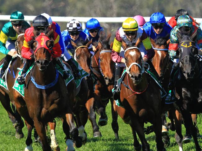 Loving home ridden by Tye Angland  (yellow cap, maroon with yellow armbands) wins race 1 during Scone  Races located in the Upper Hunter Region of NSW. The Bend . Pic Jenny Evans