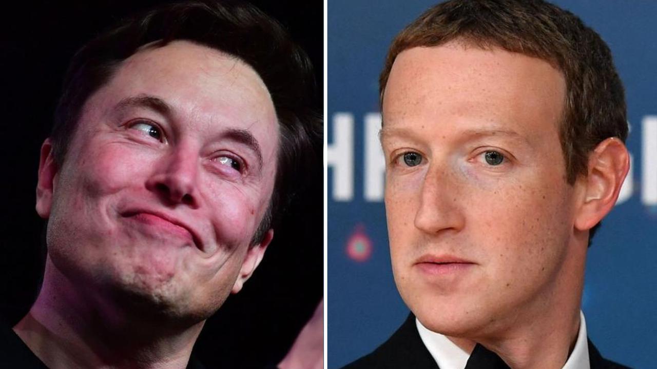Look Out, Musk: Zuckerberg Is Now a Blue Belt in Jiu-Jitsu