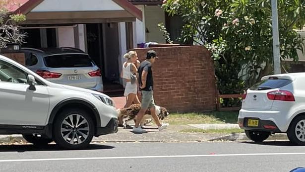 Experts have issued a warning for pet owners after this photo went viral. Picture: Facebook