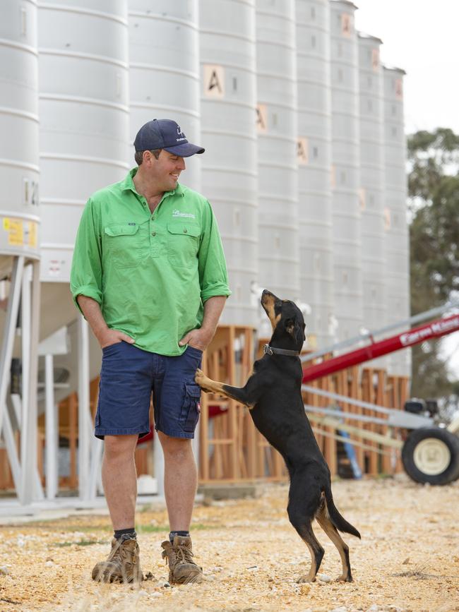 Lady the Kelpie lets Trent Carter know she’s keen to get to work. Picture: Zoe Phillips