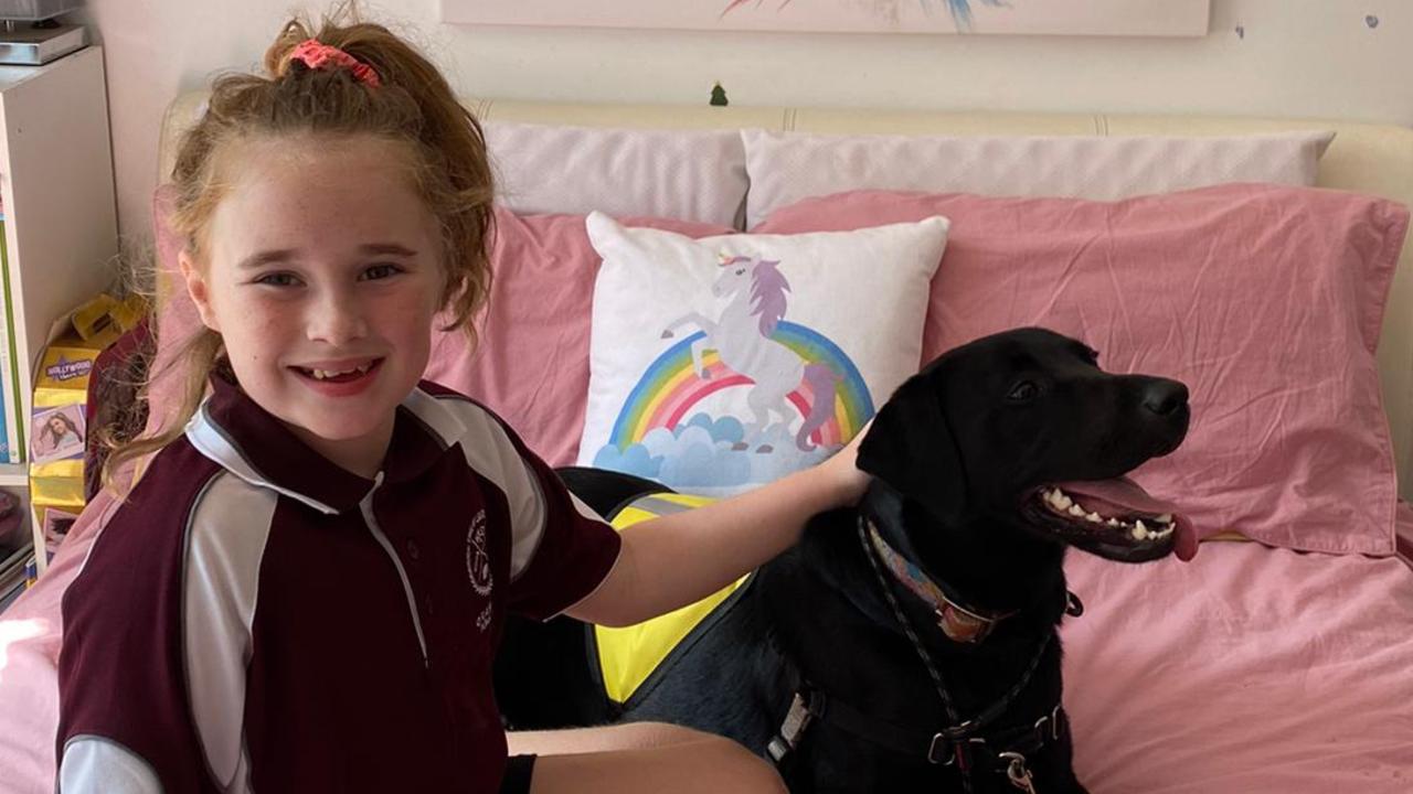 Epilepsy treatment Family in fight with NDIA over support dog that warns of seizures Herald