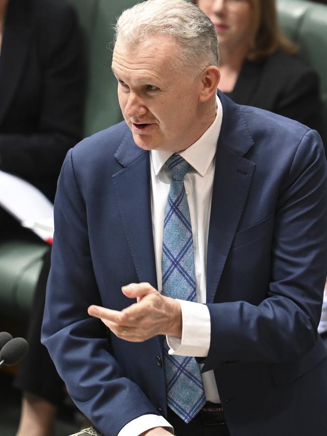 Home Affairs Minister Tony Burke.