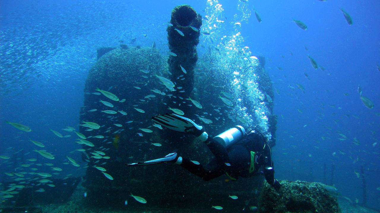 A Noosa Blue Water Dive photographer captures some of the colourful spectacle as the new reef begins to form around the wreck of the HMAS Brisbane, sunk off Mooloolaba 31/7/05.