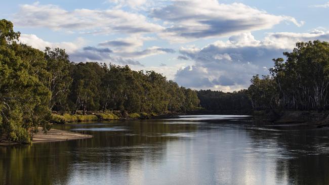 The Murray River in Tocumwal, NSW. Picture: Hollie Adams