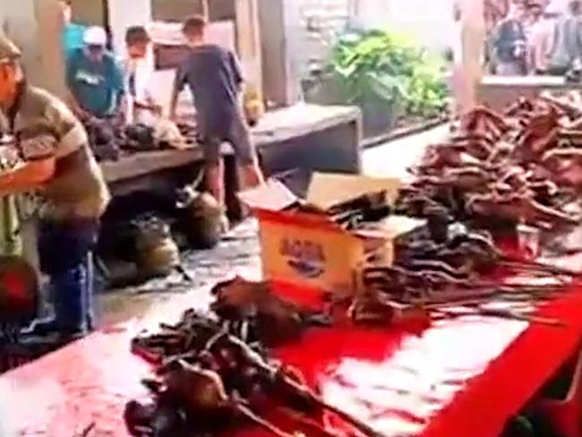 Wuhan’s Huanan Seafood Wholesale Market, where exotic animals are sold for food. Picture: supplied