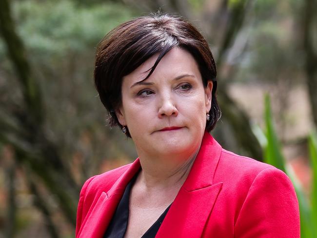 NSW Labor Leader Jodi McKay has renewed calls for a NSW royal commission into mental health and suicide. Picture: NCA NewsWire/Gaye Gerard