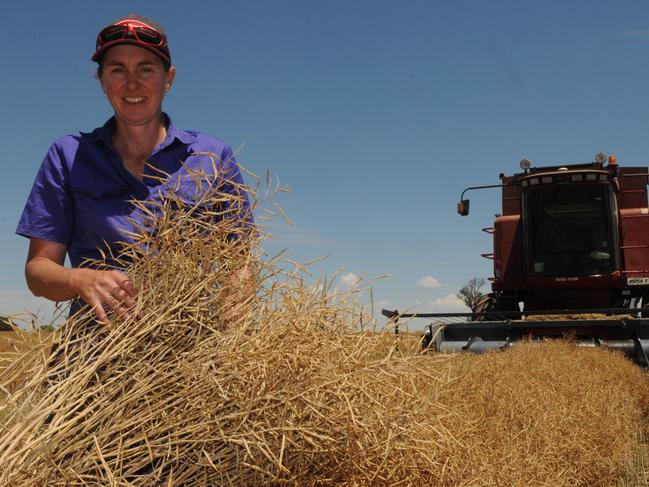 Donna Drum from Culcairn harvests canola. Picture: FIONA MYERS