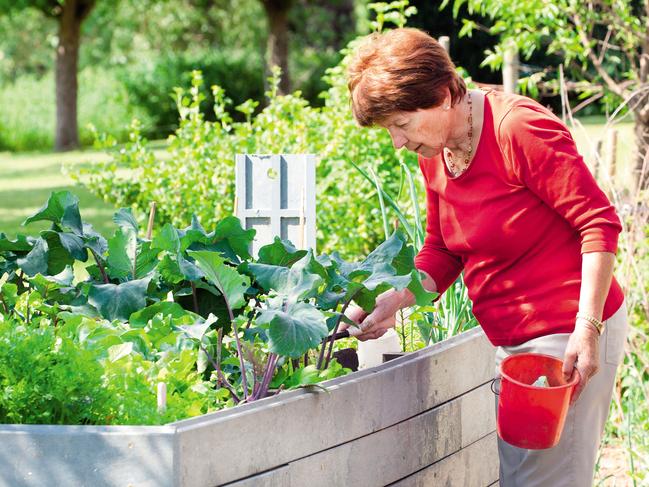 Raised garden beds are fantastic for growing vegetables and flowers. Long-handled tools are also very useful. Picture: supplied