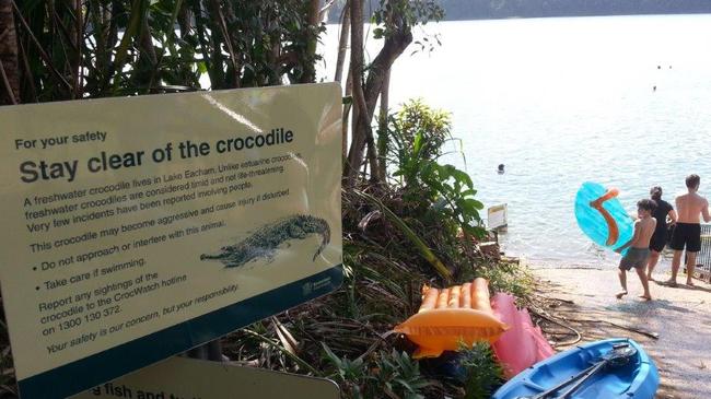 Lake Eacham regular Deryck Thompson of Cairns calls for the removal of the harmless freshwater crocodile from Lake Eacham.