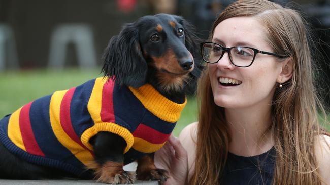 Hophaus Annual Dachshund Race picture: Xena Weiner Princess, more dogs ...