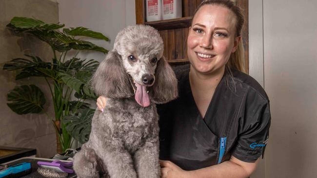 Best dog groomer of 2023 Mima Terzic, at her salon in Allenby Gardens. Picture: Ben Clark