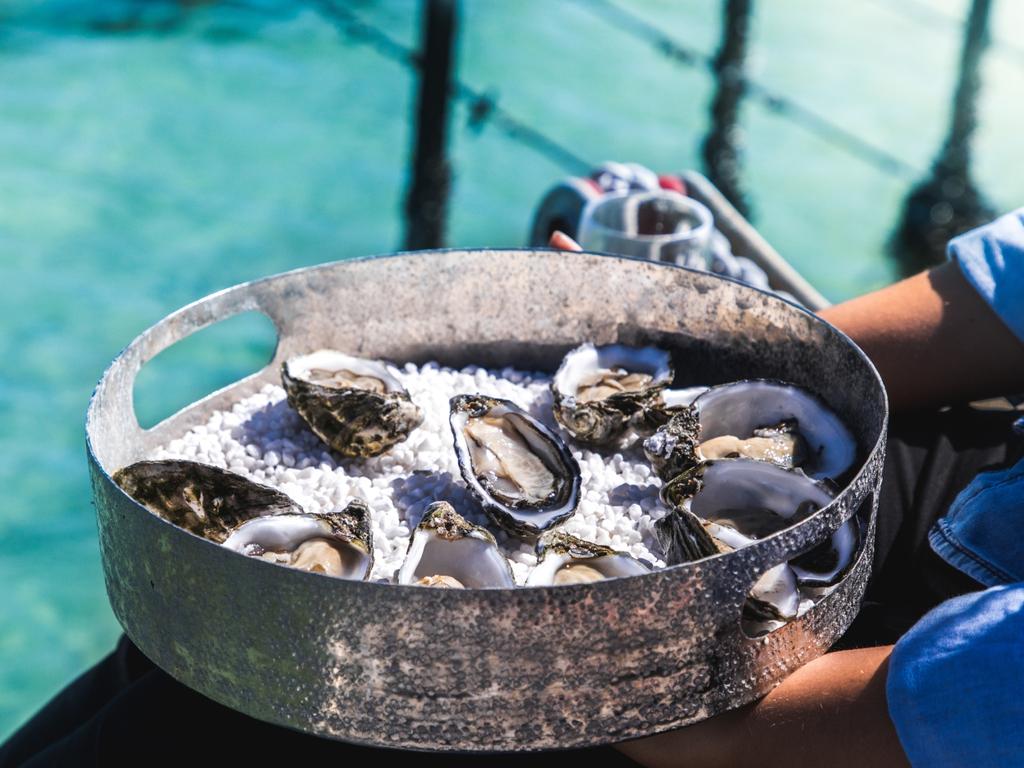 SA’s oysters are sought after all over Australia.