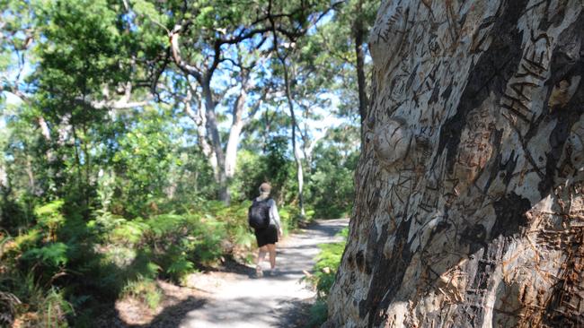 Feel like getting outdoors and exploring? The Gympie Region has a lot to offer.