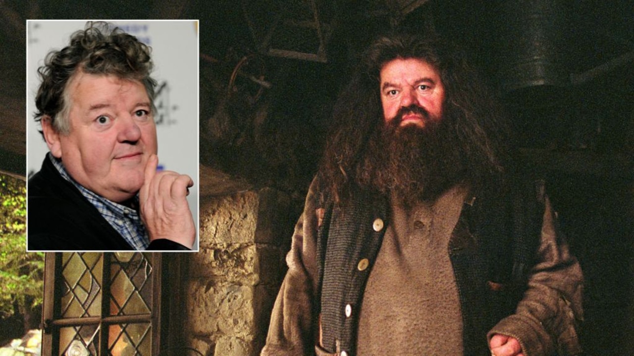 Hagrid Actor