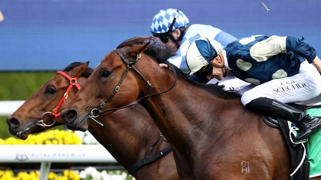 St Lawrence (outside) wins the Little Dance in thrilling fashion Picture: AAP