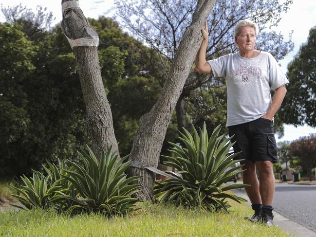 Cheltenham’s Scott West was told to remove plants from his nature strip because they were “too pointy” and could be dangerous. Picture: Wayne Taylor.