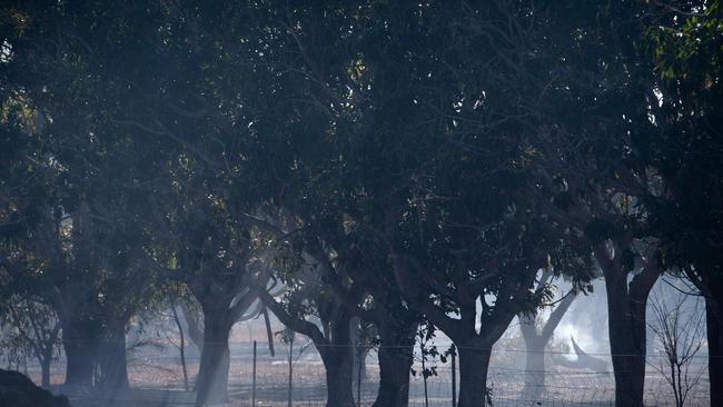 A bushfire ripped through the Livingstone area this afternoon, threatening local properties. Picture: Che Chorley