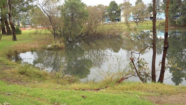 Moorebank residents oppose sculpture at Clinches Pond