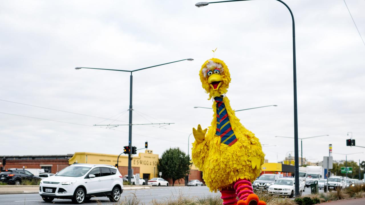 The stolen Big Bird costume was returned to the Sesame Street Circus Spectacular at Bonython Park in Adelaide.