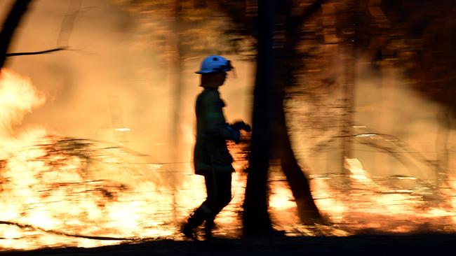 Firefighters backburn to secure residential areas from encroaching bushfires at the Mangrove Mountain area on Sunday. Picture: AFP