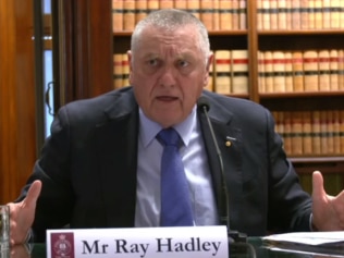 2GB host Ray Hadley described the aerial Brumby culls as "inhumane" during a parliamentary inquiry. Picture: Sky News Australia.