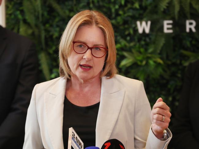 MELBOURNE, AUSTRALIA- NewsWire Photos JANUARY 23, 2025: Victorian Premier Jacinta Allan holds a press conference at a housing development site in Werribee to talk about local road upgrades.  NewsWire/ David Crosling