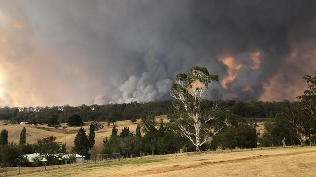 Fire approaches a winery near Sarsfield in late 2019.